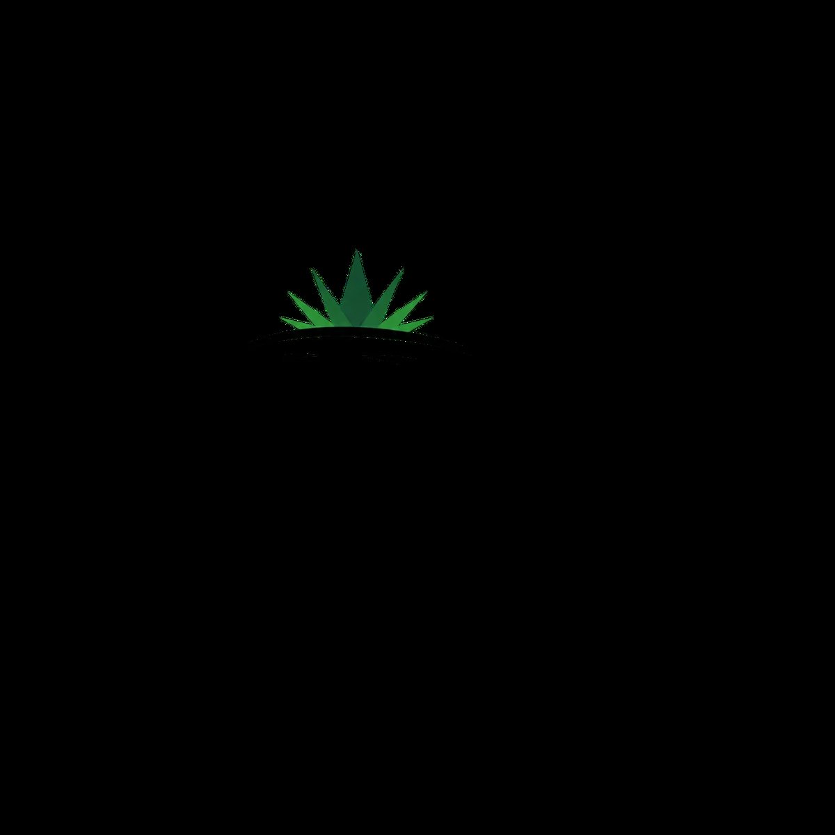 Logotipo de Viva Tequila Experience